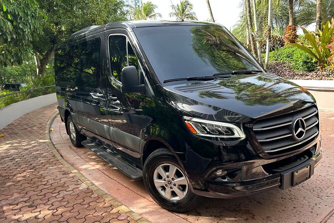 Puerto Rico Island Wide Private Transfers, 11Pax Lux Sprinter Van - The drivers add practical local help