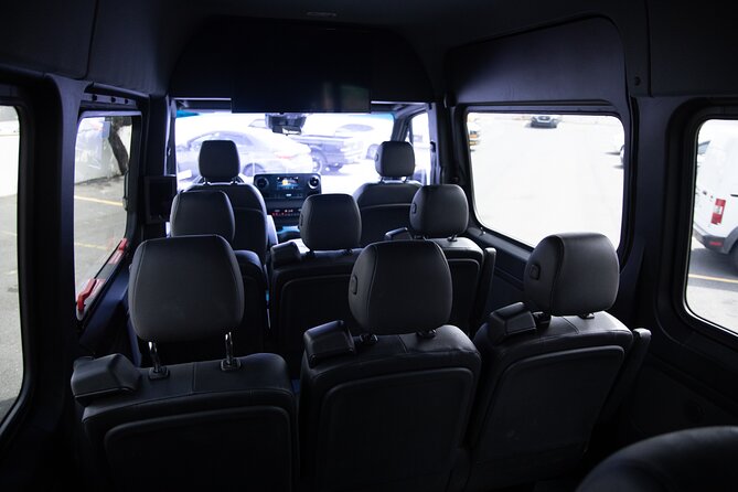 Puerto Rico Island Wide Private Transfers, 14Pax Lux Sprinter Van - Cruise transfers and the useful three-hour option