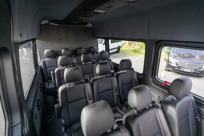 Puerto Rico Island Wide Private Transfers, 14Pax Lux Sprinter Van - Meeting your driver at the airport or cruise port