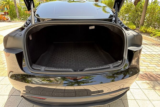 Puerto Rico Island Wide Private Transfers, Tesla 3 Luxury Sedan. - Price, overnight charges, and real value