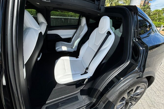 Puerto Rico Island Wide Transfer, Tesla Model X Luxury SUV. - Meeting your chauffeur at the airport or port