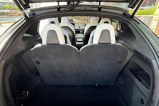 Puerto Rico Island Wide Transfer, Tesla Model X Luxury SUV. - Who will appreciate this transfer most