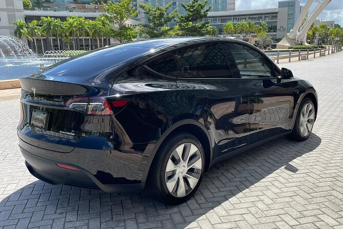 Puerto Rico Island Wide Transfer, Tesla Y Luxury SUV, Select Zone - What the Strong Praise Tells You
