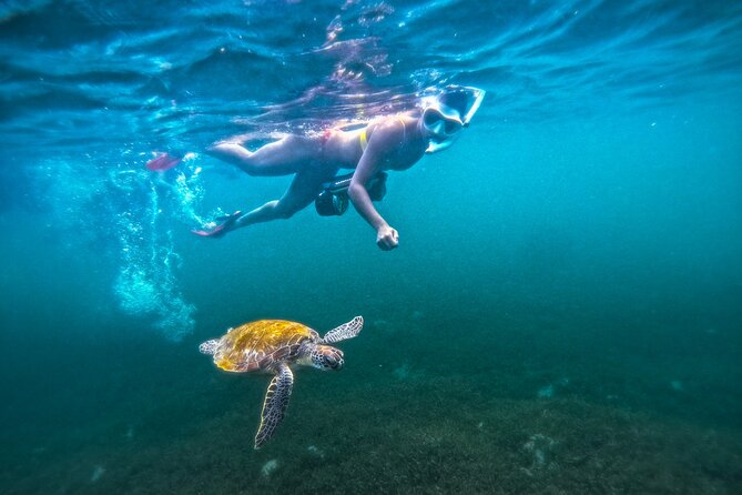 Puerto Rico Jet Snorkel with Turtles and Videos in San Juan - A clear safety lesson comes before the water