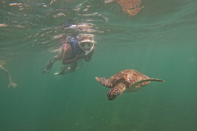 Puerto Rico Jet Snorkel with Turtles and Videos in San Juan - Looking for turtles in the protected bay