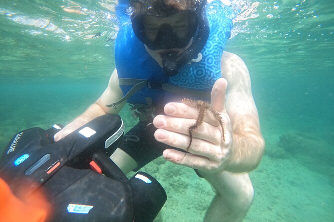 Puerto Rico Jet Snorkel with Turtles and Videos in San Juan - Why visibility can change from one outing to the next
