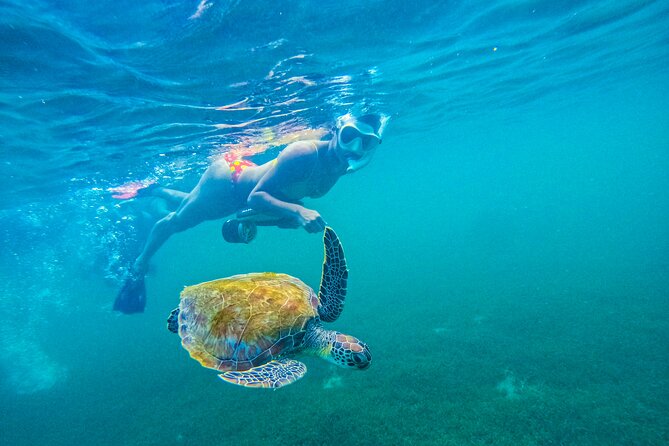 Puerto Rico Jet Snorkel with Turtles and Videos in San Juan - Riding the jet unit through Escambron’s water