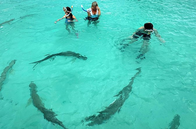 Puerto Rico's Only Private, VIP & Filmed Bio Bay Swim Experience - Practical advice for getting the most from the day