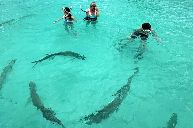 Puerto Rico's Only Private, VIP & Filmed Bio Bay Swim Experience - Is $429.99 a fair price?