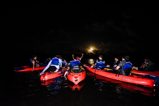 Puerto Rico Sunset Magic: Bio Bay Kayaking Tour from Fajardo - Key points to know before you book