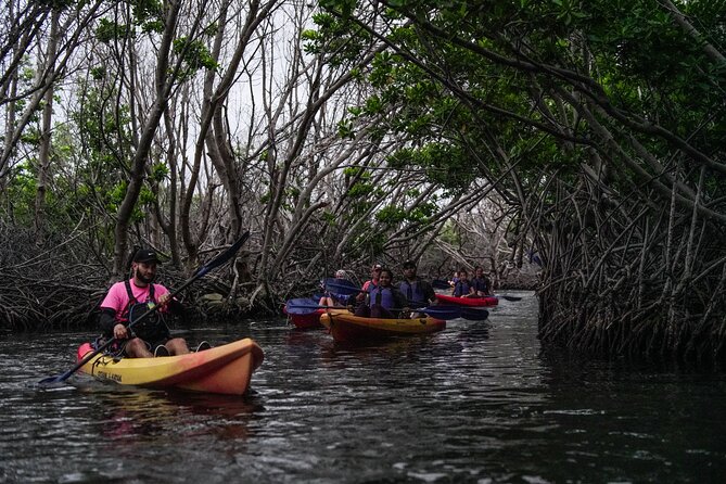Puerto Rico Sunset Magic: Bio Bay Kayaking Tour from Fajardo - What this Fajardo bio bay trip is really like