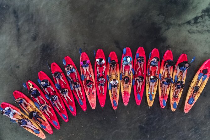 Puerto Rico Sunset Magic: Bio Bay Kayaking Tour from Fajardo - Reaching Laguna Grande and making the water glow
