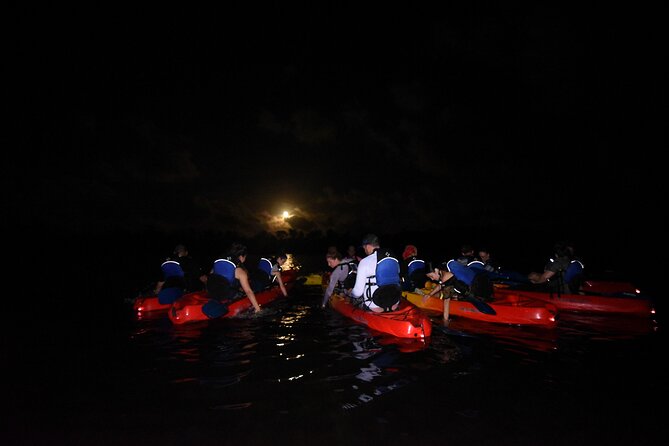 Puerto Rico Sunset Magic: Bio Bay Kayaking Tour from Fajardo - Price, group size, and what you receive