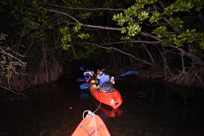 Puerto Rico Sunset Magic: Bio Bay Kayaking Tour from Fajardo - How this compares with the ideal bio bay night