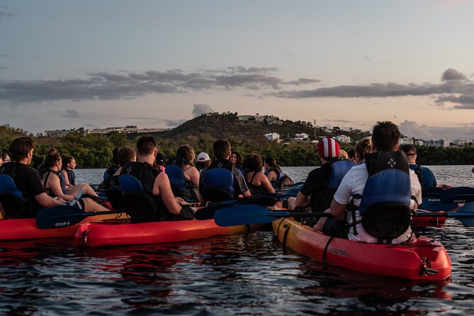 Puerto Rico Sunset Magic: Bio Bay Kayaking Tour from Fajardo - Starting at Kayak Village in Las Croabas