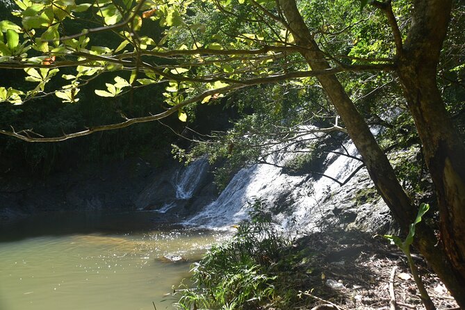 Puerto Rico Waterfall Hiking Tour: Discover Hidden Gems 2.0 - Key points to know before you go