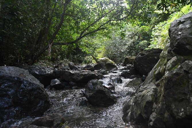 Puerto Rico Waterfall Hiking Tour: Discover Hidden Gems 2.0 - A real Puerto Rico adventure beyond San Juan