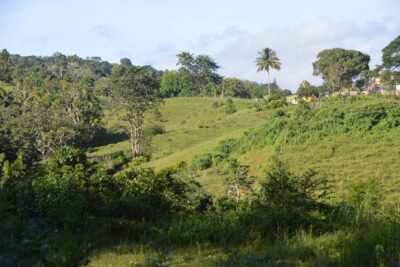 Puerto Rico Waterfall Hiking Tour: Discover Hidden Gems 2.0