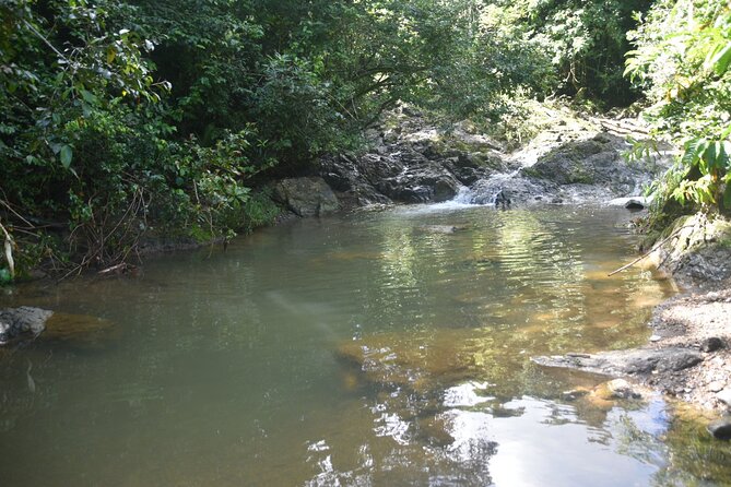 Puerto Rico Waterfall Hiking Tour: Discover Hidden Gems 2.0 - The 130-foot waterfall and cold natural pools