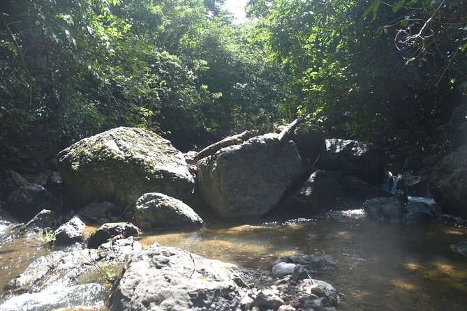 Puerto Rico Waterfall Hiking Tour: Discover Hidden Gems 2.0 - Why the guides receive so much praise