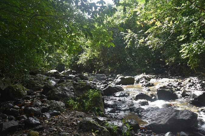 Puerto Rico Waterfall Hiking Tour: Discover Hidden Gems 2.0 - Is $80 a fair price?