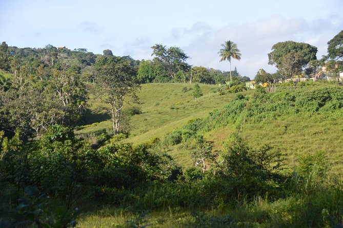 Puerto Rico Waterfall Hiking Tour: Discover Hidden Gems 2.0 - The 8:00 a.m. pickup and mountain road