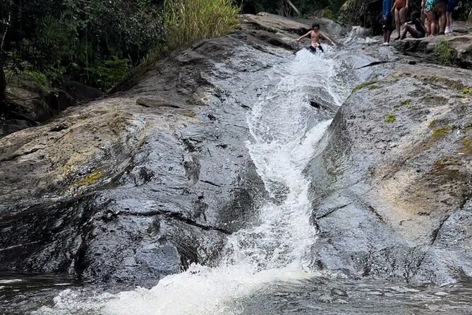 Rainforest Adventure All inclusive Food and Fotos - Is the $69 price good value?