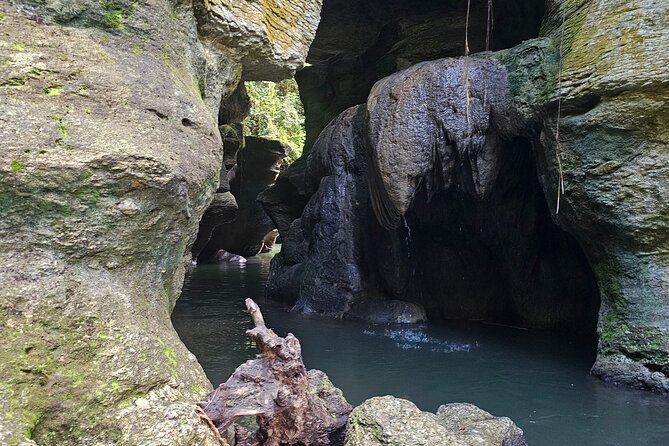 Rainforest Cave Tubing Adventure - Is the $79 Price Fair?