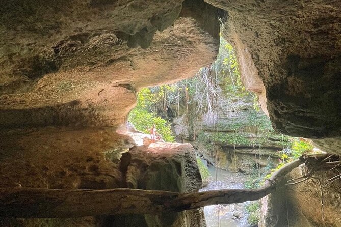 Rainforest Caves and Waterfalls Exploration with Transportation - How the $110 price holds up