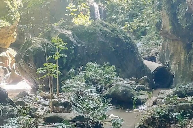 Rainforest Caves and Waterfalls Exploration with Transportation - What to bring for a wet half-day