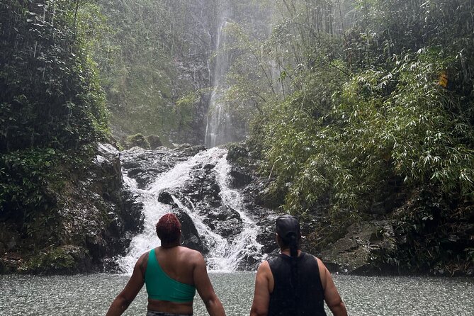 Rainforest Hike to Hidden Waterfall in Puerto Rico with Transport - What the guide adds to a challenging trail