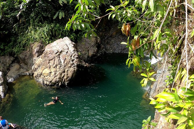 Rainforest Nature Walk & Luquillo Beach Combo - Key points before you book
