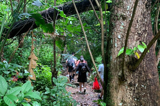 Rainforest Nature Walk & Luquillo Beach Combo - Luquillo Beach is the tour’s most relaxed stretch