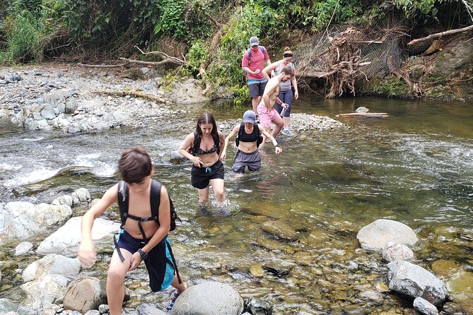 Rainforest River Hike and Waterfalls Adventure - Is $80 a fair price?