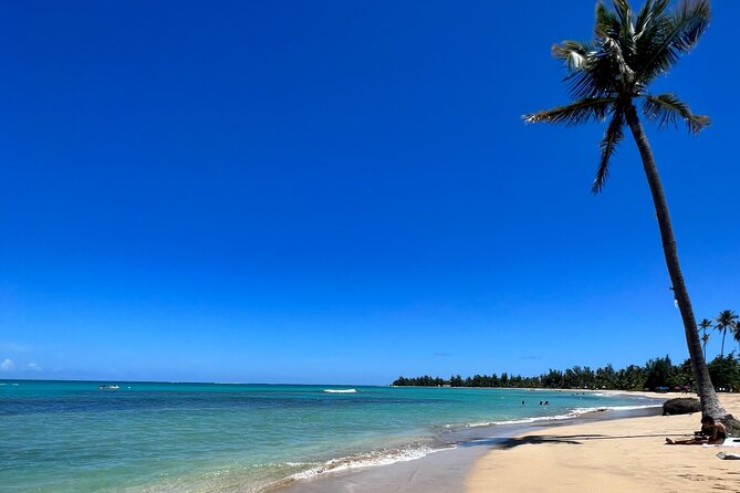 Rainforest Waterfall Slides/Adult Drinks included/ Beach - Key Points Before You Book