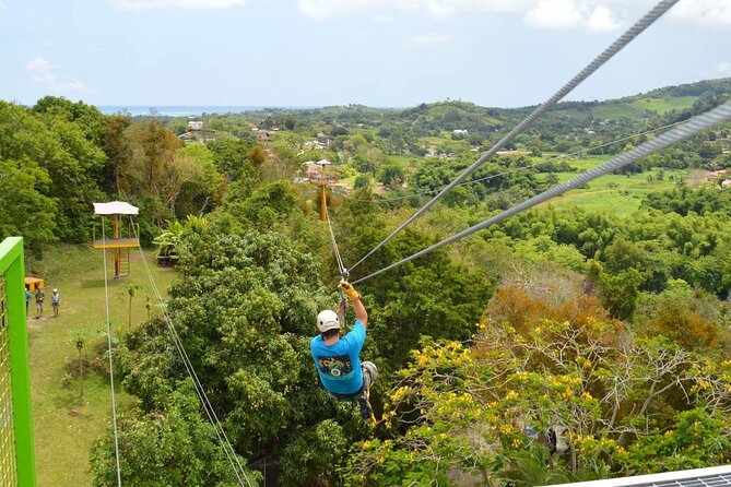 Rainforest Zipline in Foothills of the National Rainforest - Quick points about the Rio Grande zipline course