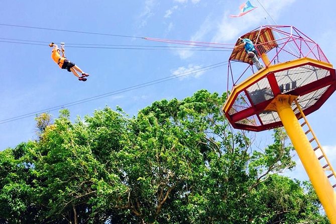 Rainforest Zipline in Foothills of the National Rainforest - Starting at Road 191 in Rio Grande