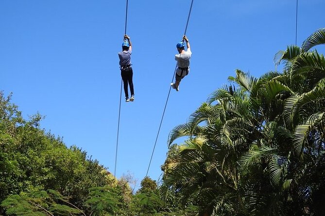 Rainforest Zipline in Foothills of the National Rainforest - The middle of the course: forest views and short walks