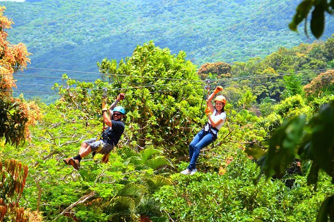 Rainforest Zipline in Foothills of the National Rainforest - Why the guides matter so much