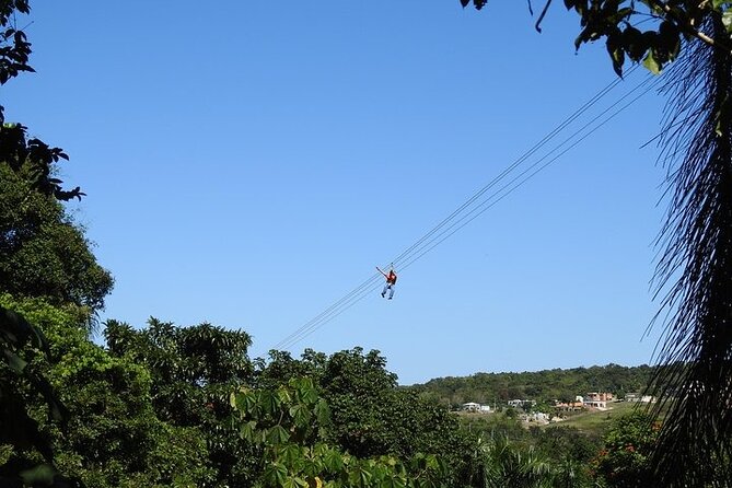 Rainforest Zipline in Foothills of the National Rainforest - What to wear and what to leave behind