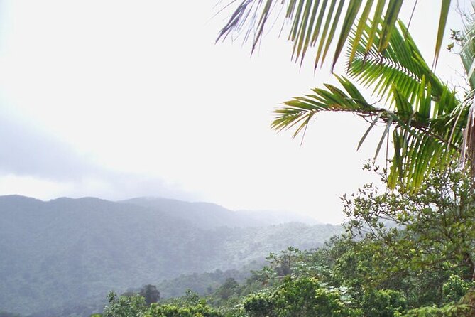 Rainforest Zipline, Luquillo Beach, and Natural Springs Day Trip - Is $199.99 a fair price?