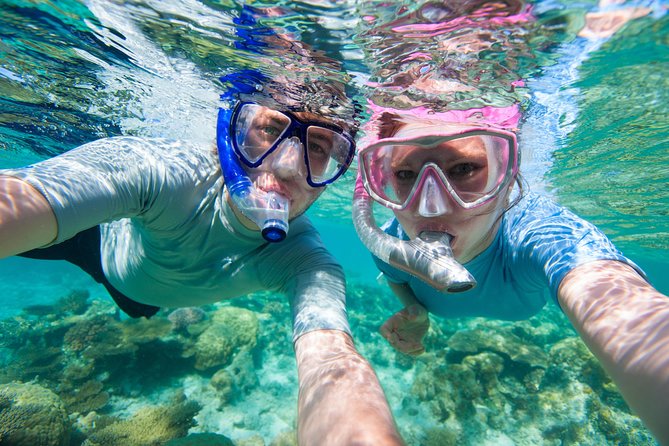 Rincon Snorkeling Adventure - Starting at 2207 Ave Pedro Albizu Campos