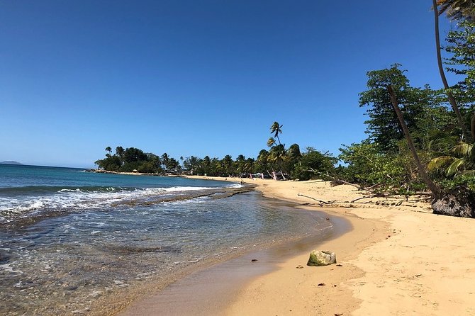 Rincon Snorkeling Adventure - What You May See Underwater