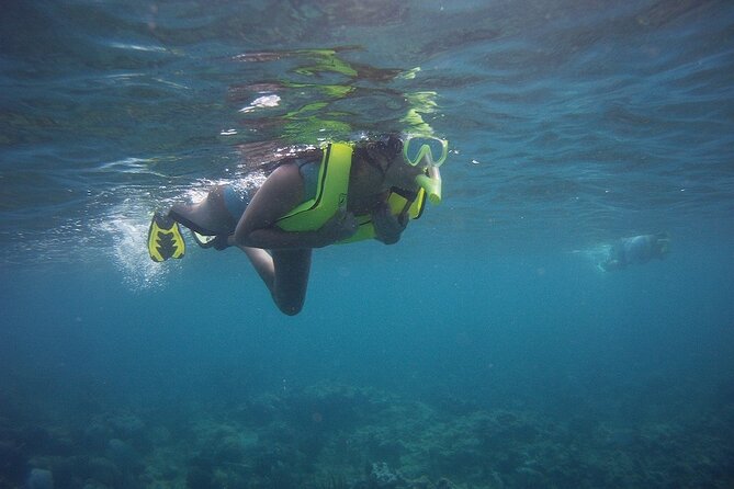 Rincon Snorkeling Adventure - Why the Guide Matters More Than the Price