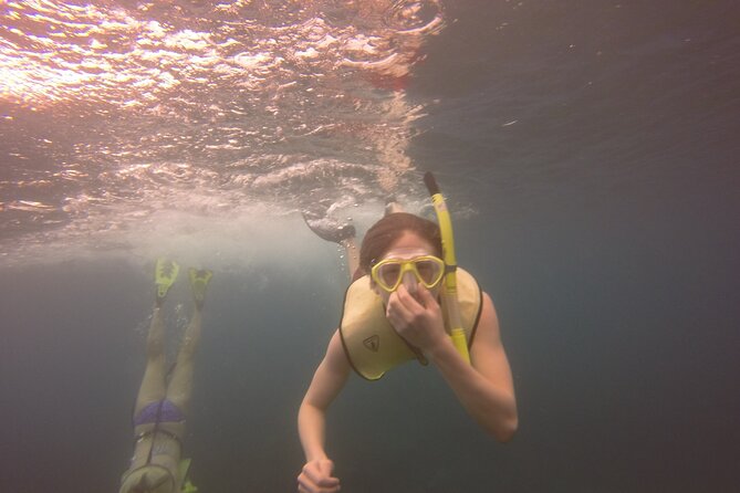 Rincon Snorkeling Adventure - Who Will Enjoy This Most