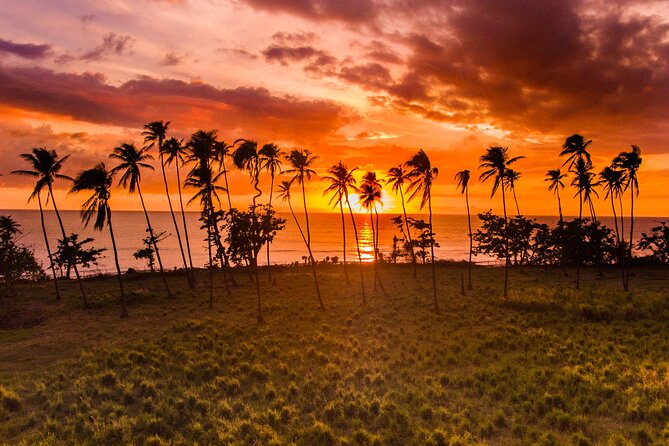 Rincon Tour Sunset & Nightlife Experience - Key Points To Know Before You Book