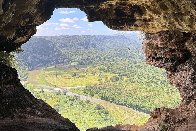Rio Tanama City Tour with Car Transportation - Cueva Ventana: a forest trail to the famous opening