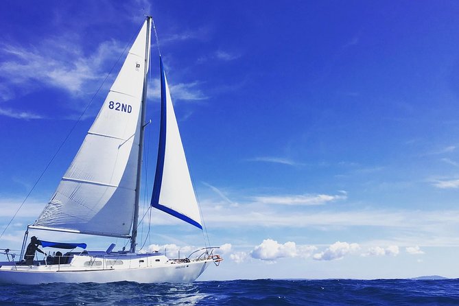 Sail Away: Private Scenic Excursion from San Juan - From working harbor to Old San Juan
