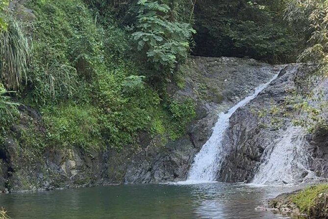 Salto de Pilar Cliff Jumping Tour - The moderate trail to Salto de Pilar