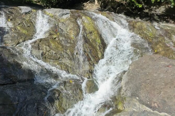 Salto de Pilar Cliff Jumping Tour - Who will enjoy this most
